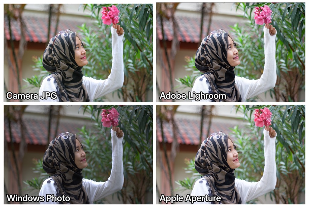 software processing result differences