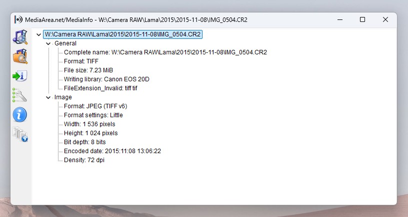 MediaInfo result of a camera raw file