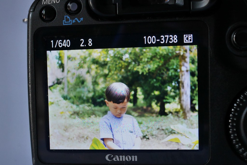 Layar LCD Canon EOS 50D menampilkan foto anak