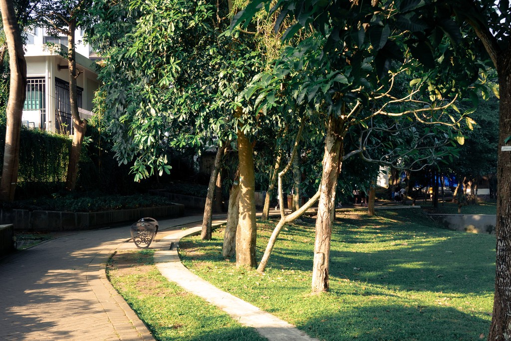 Early morning warm golden hour photo edited using Cinnamon ND Lightroom preset